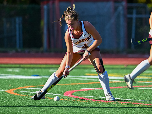 Bullsfh-02015
