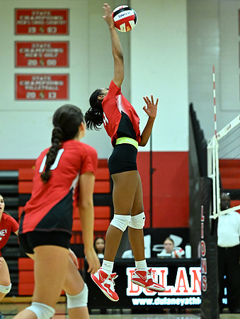 Lions-01615