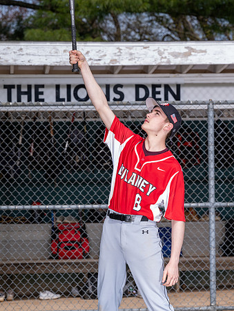 DulaneyBaseball0113