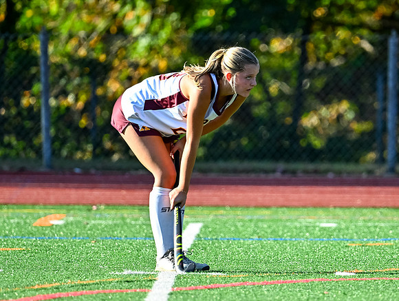 Bullsfh-02113