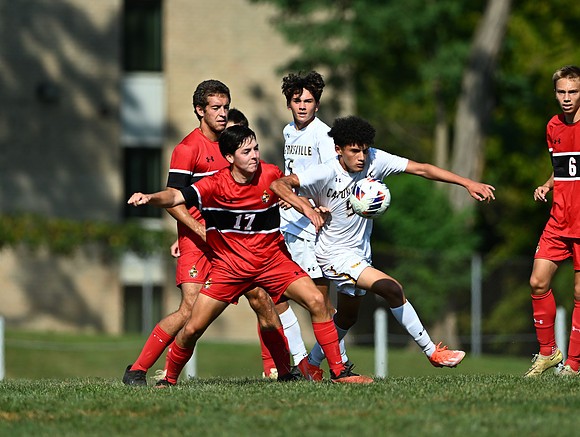 Lions-00307
