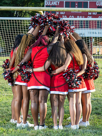 Lions-01029