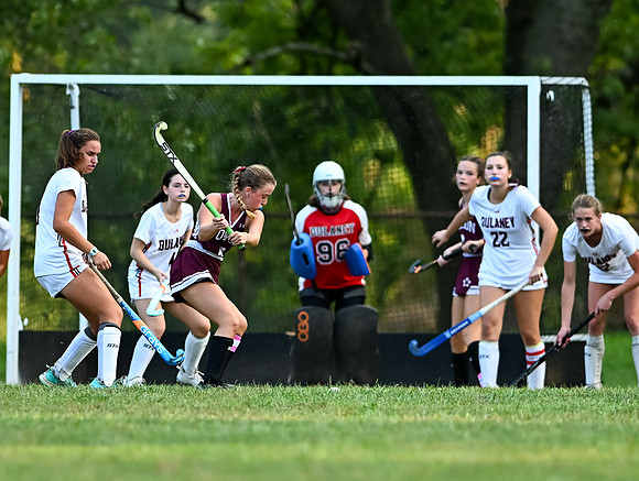 Dulaney-v-Towson-05013