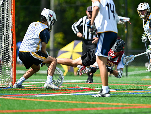 MdLax-01542