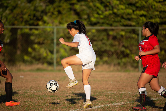 Dulaney-v-Western-591