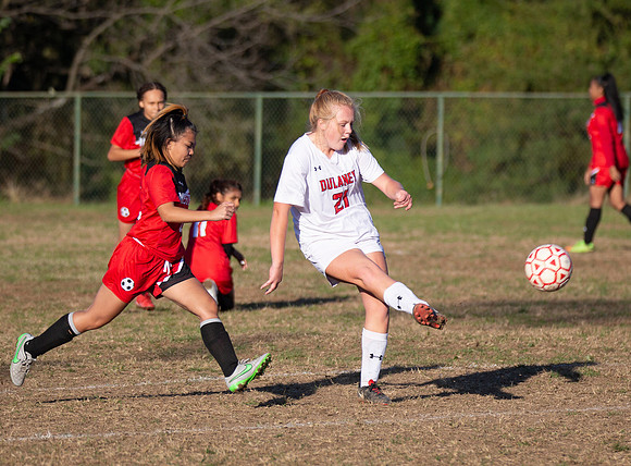 Dulaney-v-Western-266