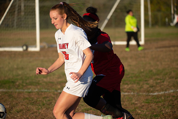 Dulaney-v-Western-569