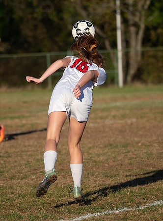 Dulaney-v-Western-419