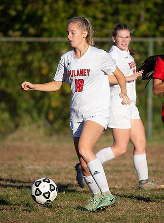 Dulaney-v-Western-349