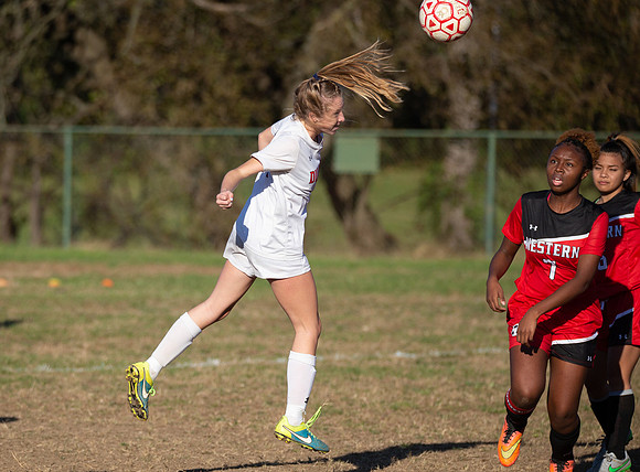 Dulaney-v-Western-202
