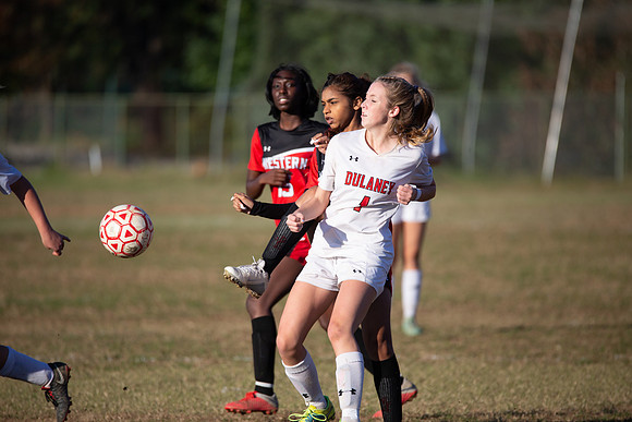 Dulaney-v-Western-251
