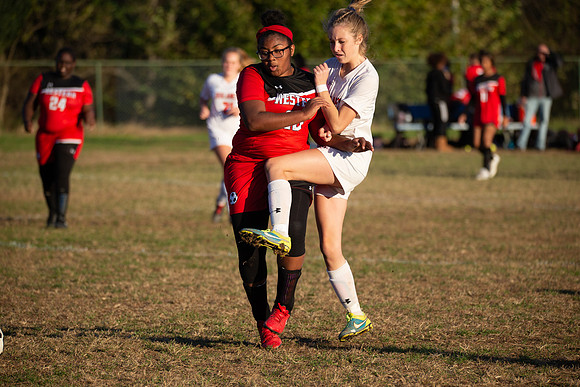 Dulaney-v-Western-549