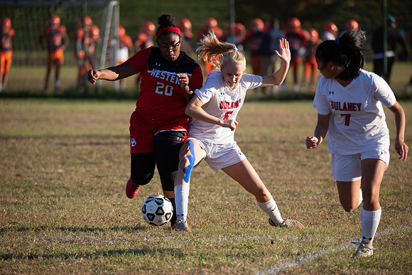 Dulaney-v-Western-370