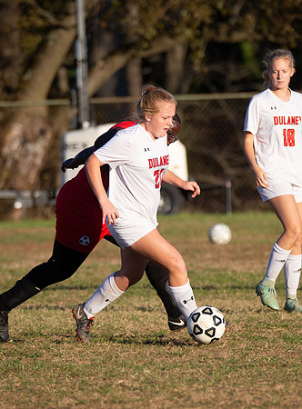 Dulaney-v-Western-441