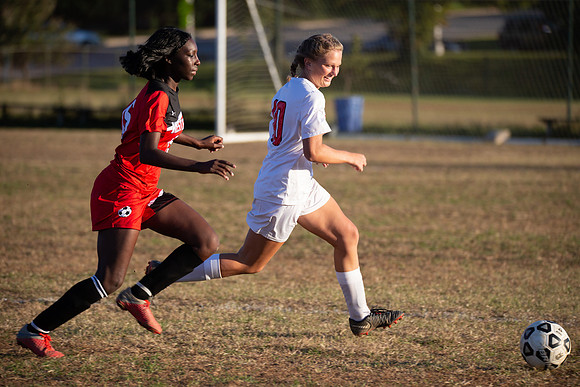 Dulaney-v-Western-482