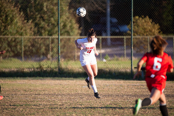 Dulaney-v-Western-528