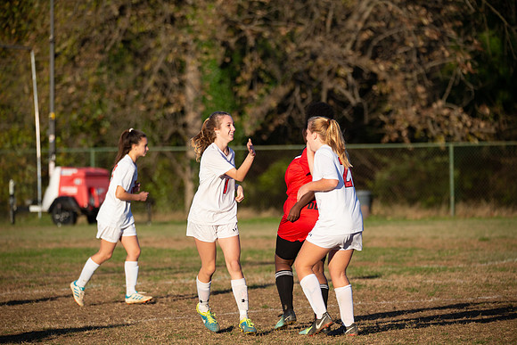 Dulaney-v-Western-514