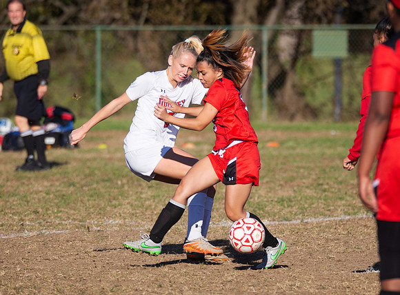 Dulaney-v-Western-113
