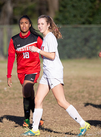 Dulaney-v-Western-110