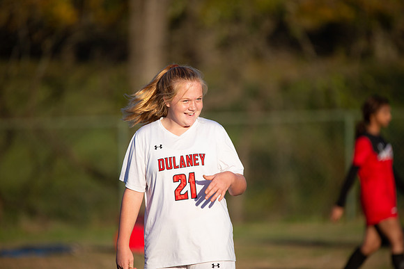 Dulaney-v-Western-498