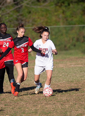 Dulaney-v-Western-144