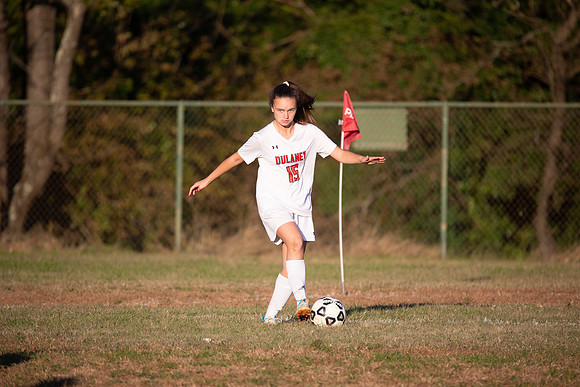 Dulaney-v-Western-490