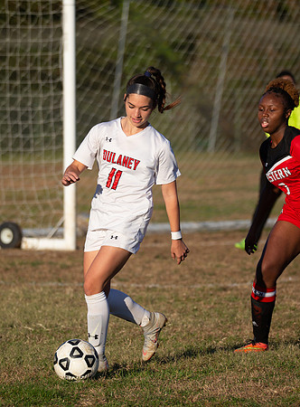 Dulaney-v-Western-428