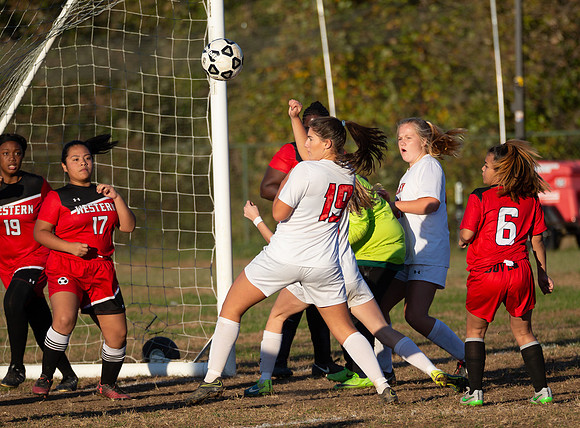 Dulaney-v-Western-461