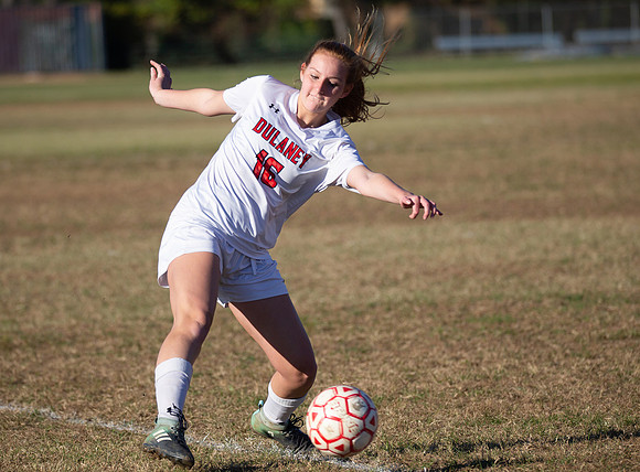 Dulaney-v-Western-124