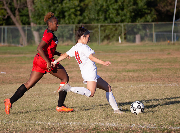 Dulaney-v-Western-306