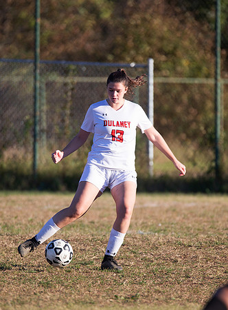 Dulaney-v-Western-316