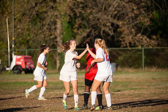 Dulaney-v-Western-515