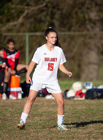 Dulaney-v-Western-299