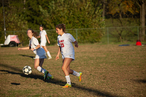 Dulaney-v-Western-584