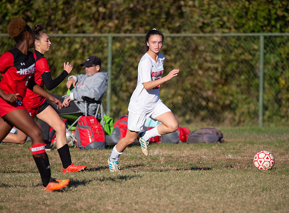 Dulaney-v-Western-175