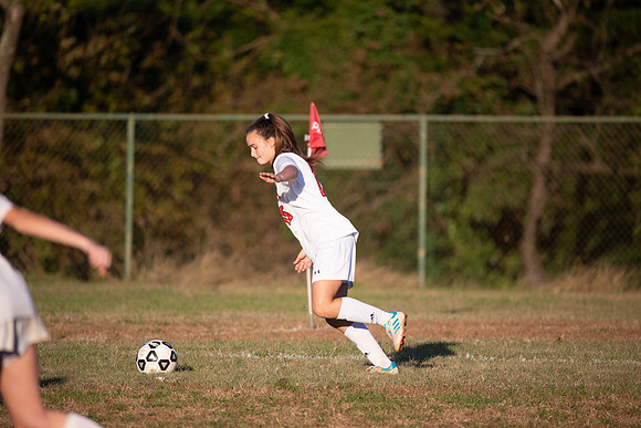 Dulaney-v-Western-493