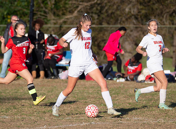 Dulaney-v-Western-255