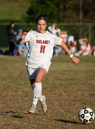 Dulaney-v-Western-408