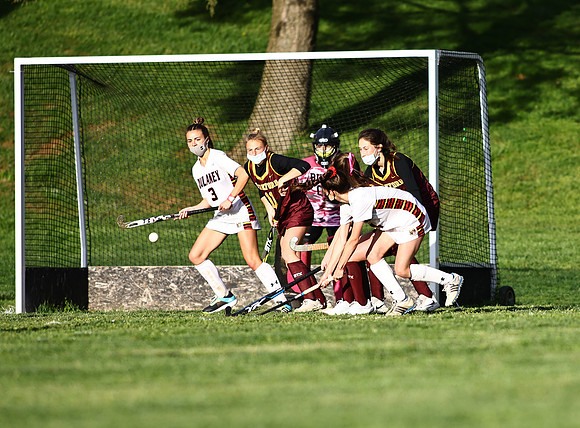 Dulaney-v-Hereford509