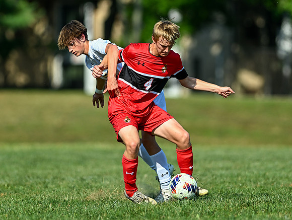 Lions-00256