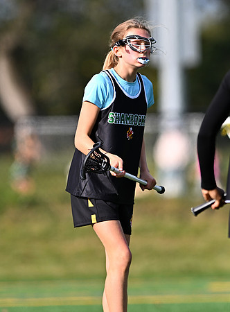 Shamrocks03796