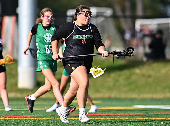 Shamrocks03795