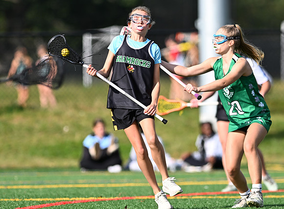 Shamrocks03798