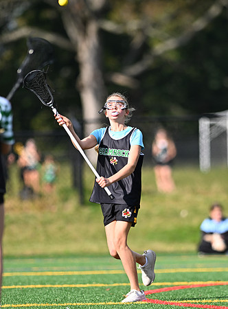 Shamrocks03799