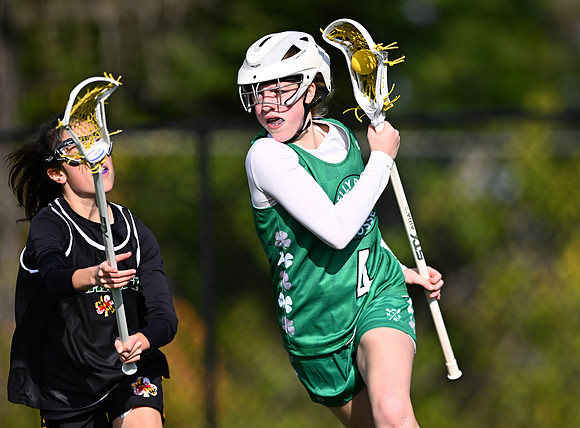 Shamrocks03800