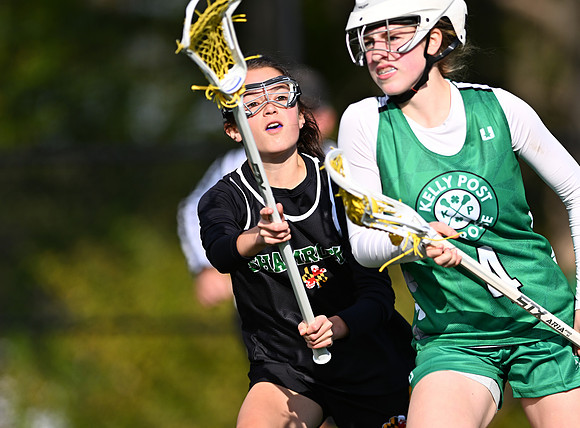 Shamrocks03801