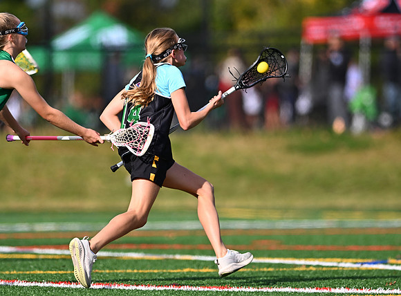 Shamrocks03810
