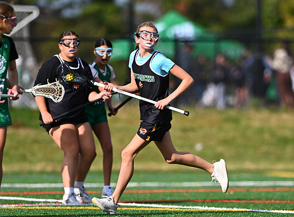 Shamrocks03811
