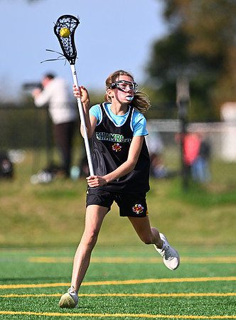 Shamrocks03814