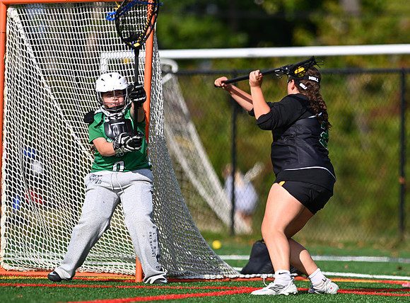 Shamrocks03819